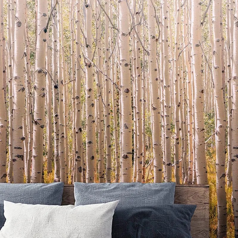 Fotomurale Bosco betulle, multicolore