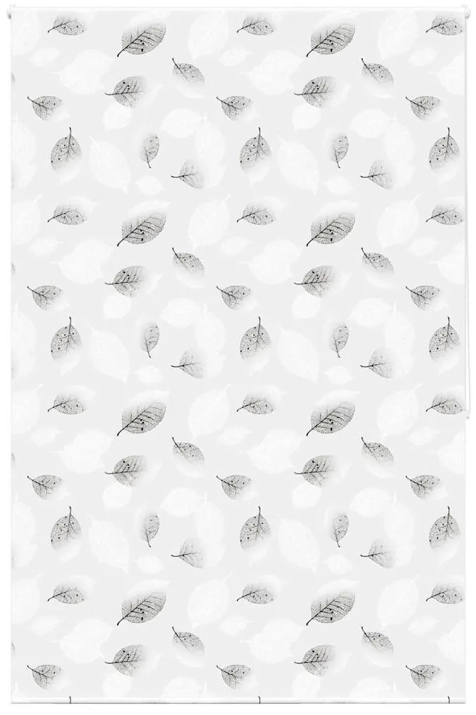 Tenda A Rullo Doccia 160x240 Cm Larghezza Tessuto 156 Cm /