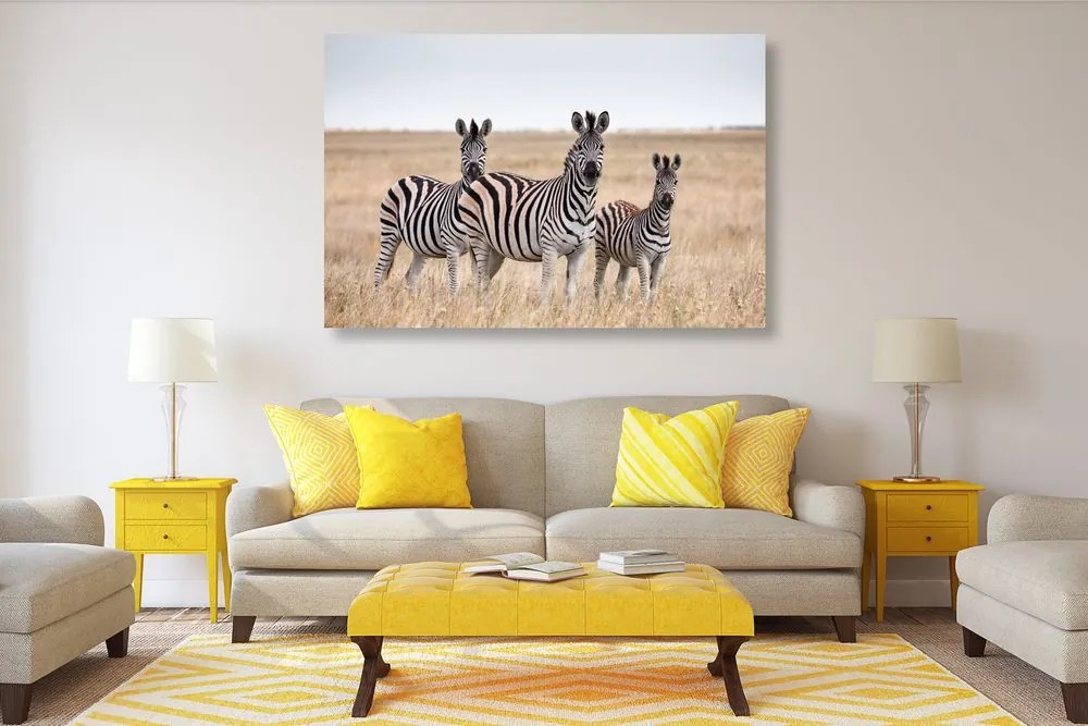 Stampa su tela – Tre zebre nella savana