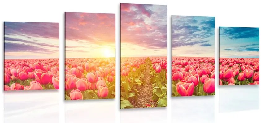 Quadri 5 pezzi – Alba su un campo di tulipani