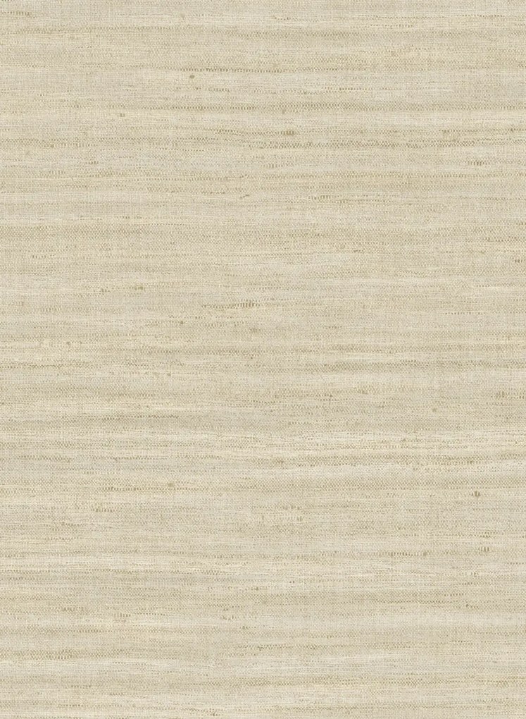 Arte International Carta da parati Lignes - Champagne