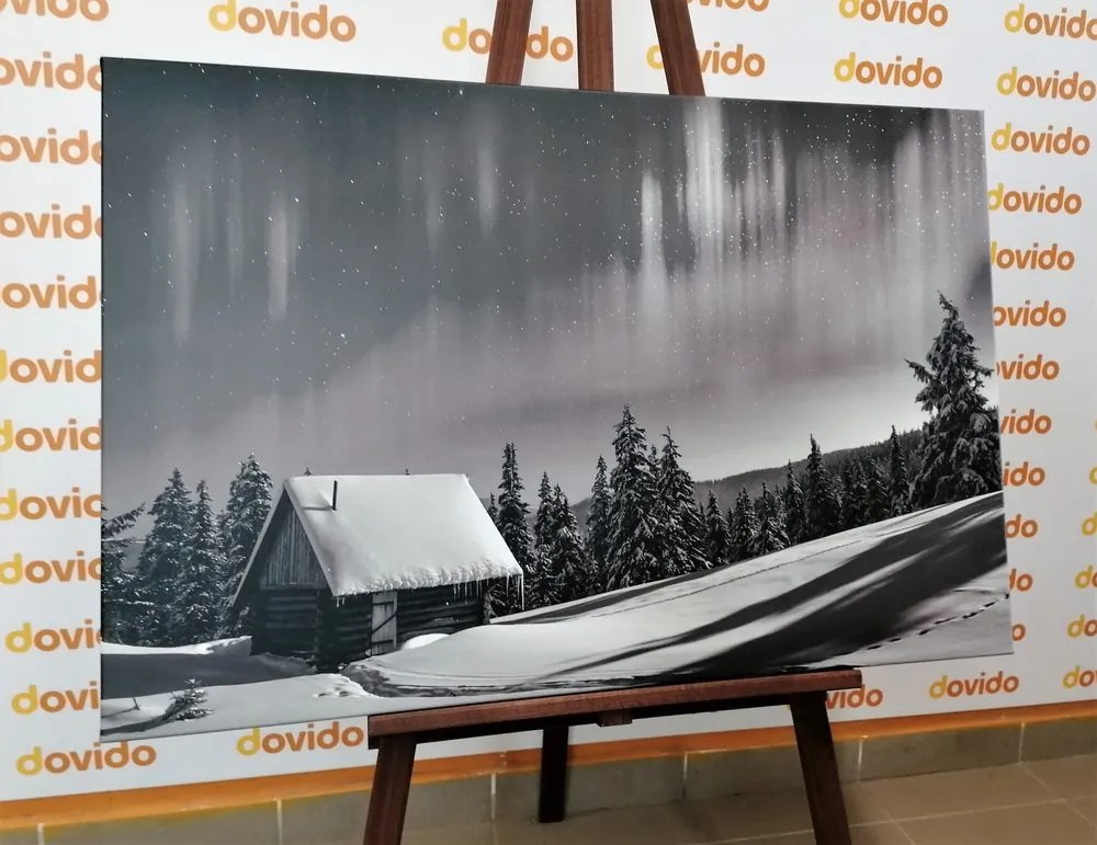 Stampa su tela – Paesaggio invernale fiabesco in bianco e nero