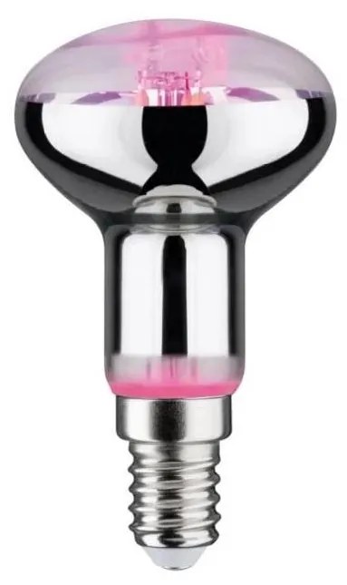LED Lampadina per la crescita delle piante GROW VERDE R50 E14/4W/230V - Paulmann 28734