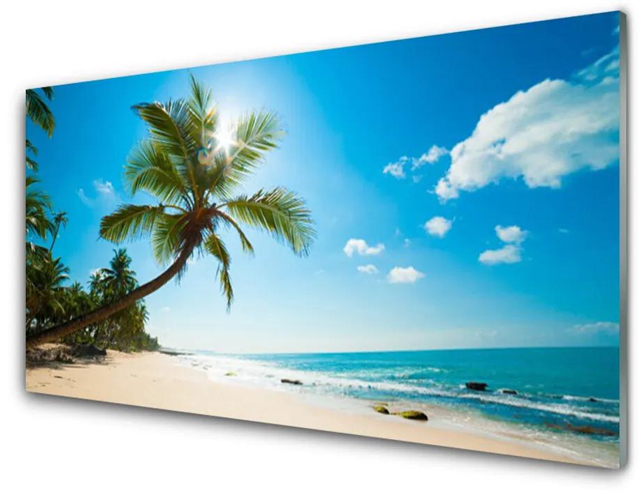 Quadro vetro acrilico Paesaggio della spiaggia della palma 100x50 cm