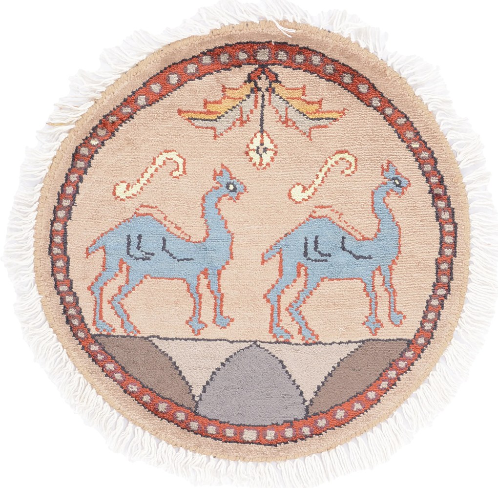 Agra Tappeto orientale 50x50 (Indian) Annodato A Mano