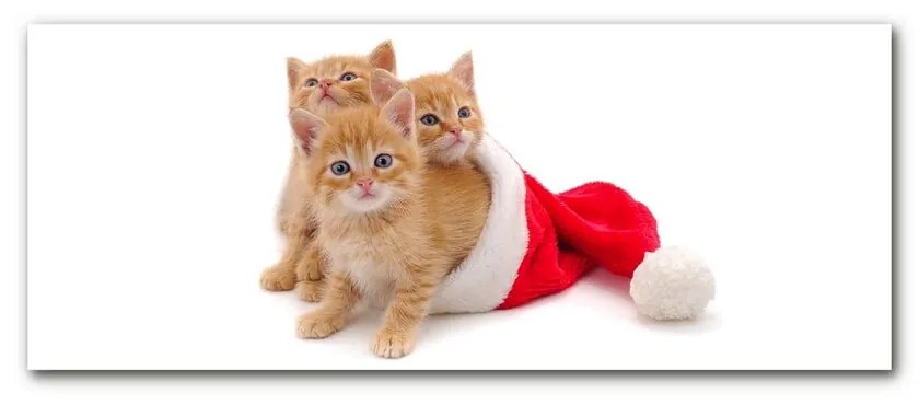 Quadro su vetro Gatti Babbo Natale 100x50 cm 2 appendini