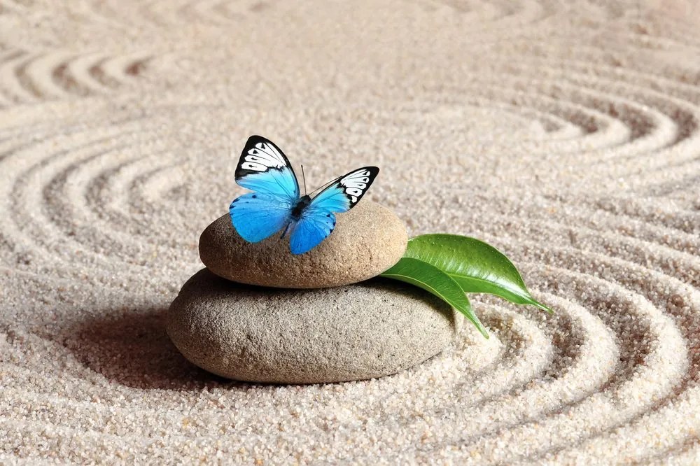 Carta da parati – Farfalla blu su pietra Zen