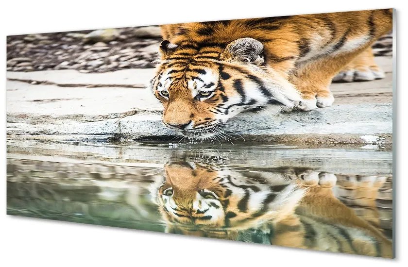 Quadro in vetro La tigre che beve 100x50 cm 2 appendini