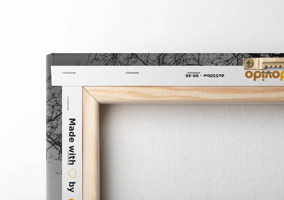 Quadro su tela – Simbiosi degli alberi in bianco e nero