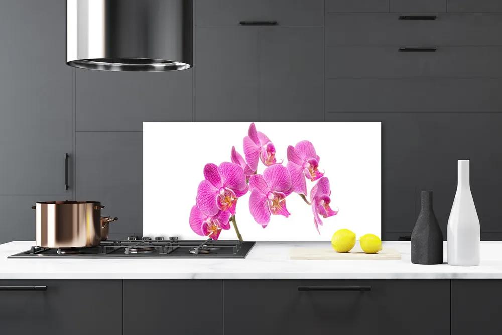 Schienali cucina Fiori di orchidea Natura 100x50 cm