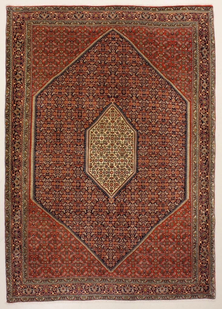 Bidjar Tappeto 220 x 300 (Iran) Annodato A Mano