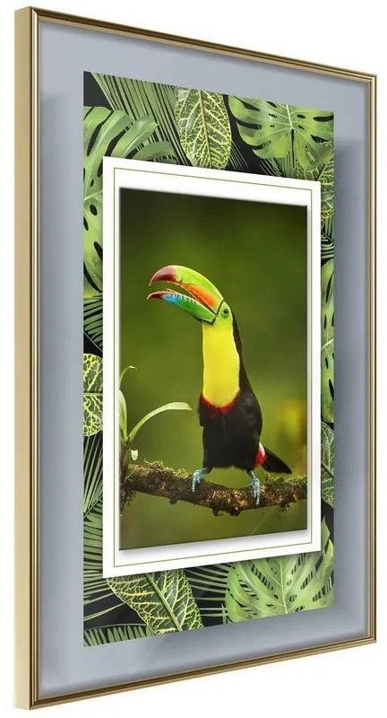 Poster  Toucan in the Frame  Cornice Quadri Cornice d'oro, Larghezza x Altezza Home decor 20x30