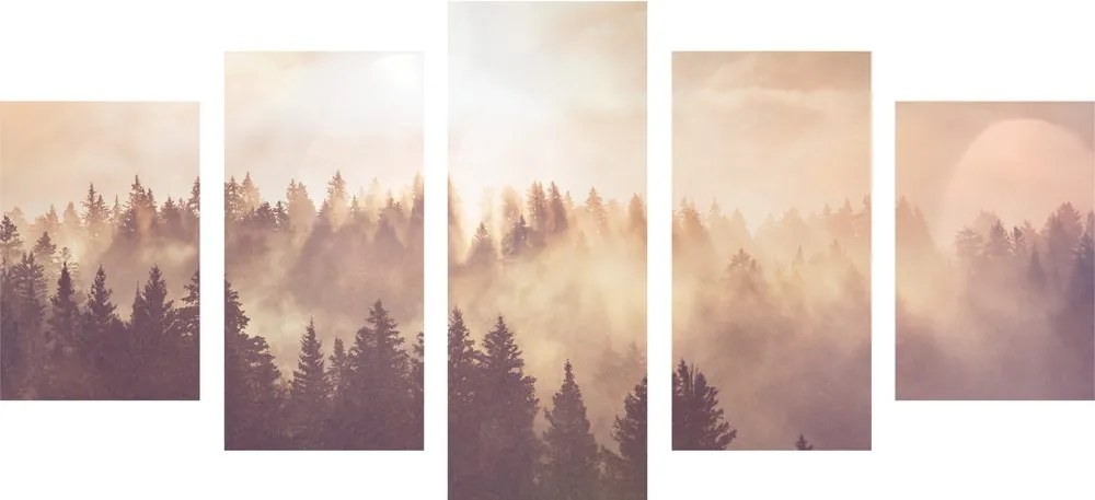 Quadri 5 pezzi – Nebbia sulla foresta