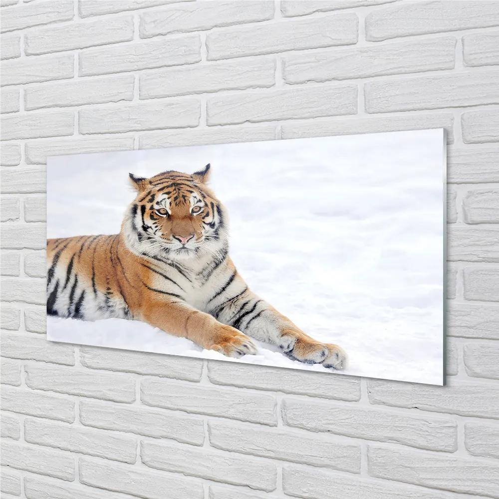Quadro vetro acrilico Snow invernale di tigre 100x50 cm