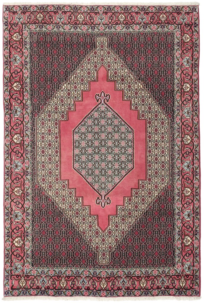 Senneh Tappeto 300 x 200 (Iran) Annodato A Mano
