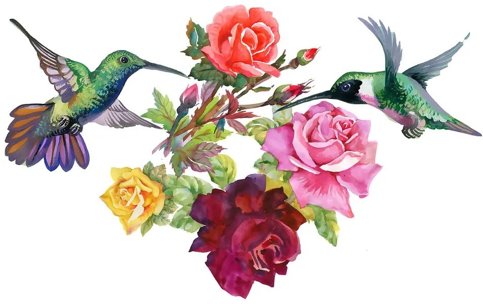 Carta da parati – Colibrì con fiori