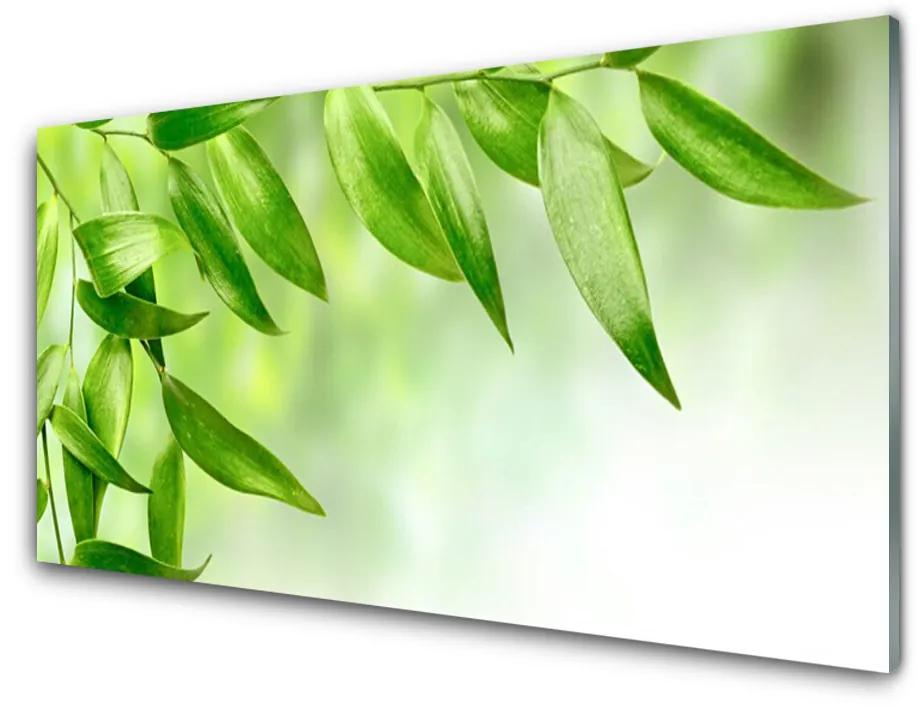 Quadro acrilico Foglie verdi della natura 100x50 cm