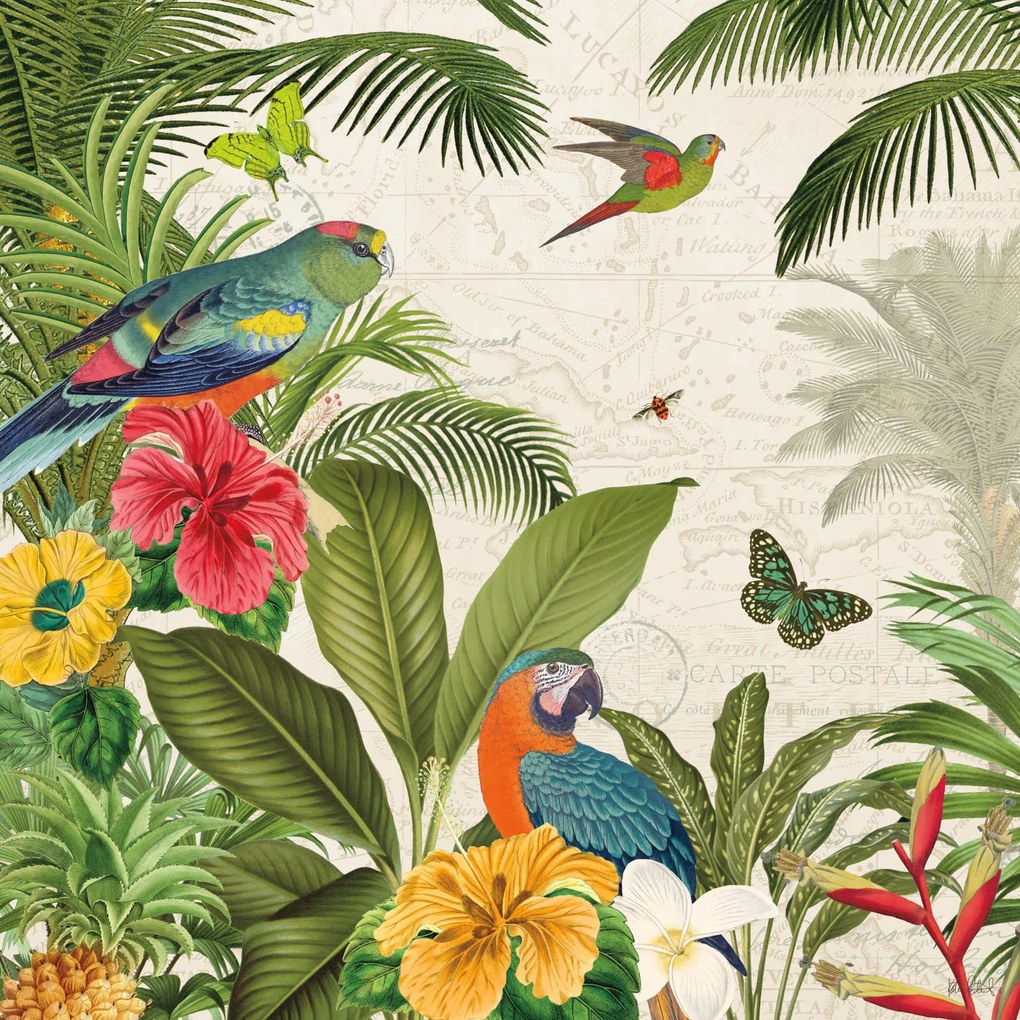 Salvadori Arte tela stile tropicale dipinta a mano "Parrot paradise " mis 50 x 50