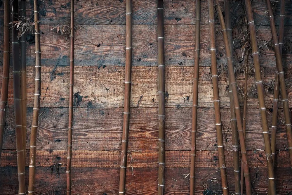 Carta da parati – Bambù esotico su legno