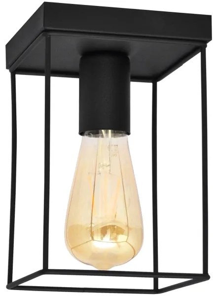 Plafoniera FINN 1xE27/15W/230V nero