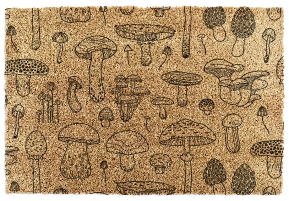 Zerbino in fibre di cocco 40x60 cm Mushrooms – Artsy Doormats
