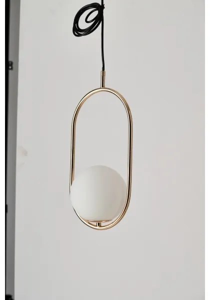 Azzardo AZ4981 - Lampadario a sospensione con filo COCO 1xG9/50W/230V