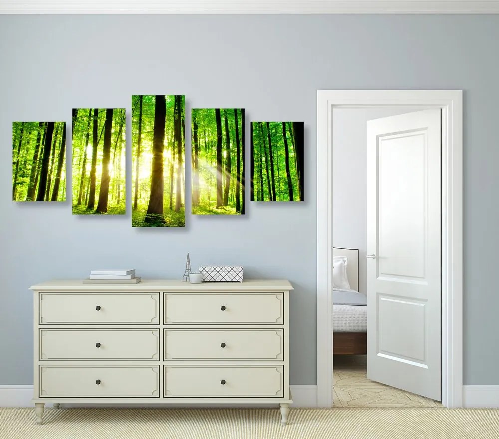 Quadri 5 pezzi – Foresta verde fresca