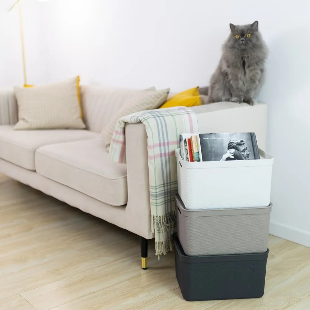 Scatola di plastica con coperchio Deco - Rotho