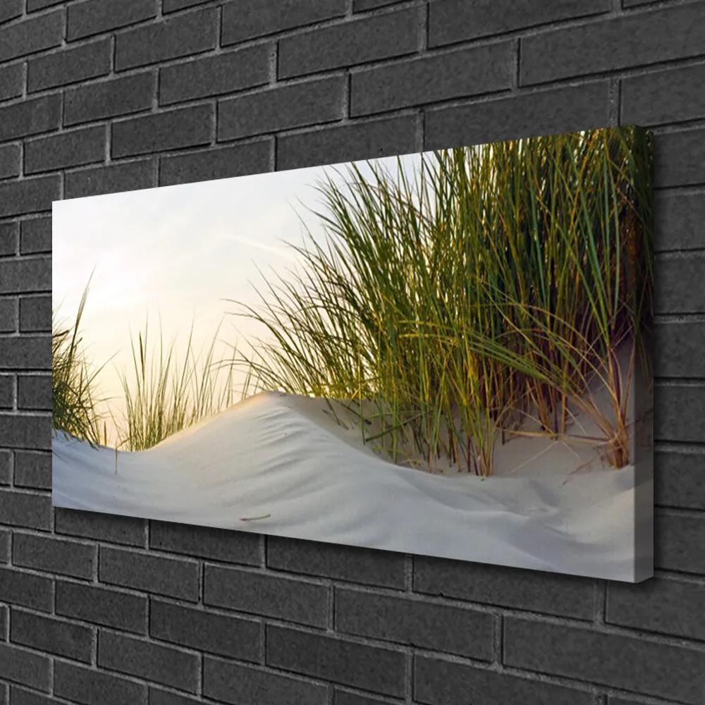 Quadro su tela Sabbia, erba, paesaggio 100x50 cm