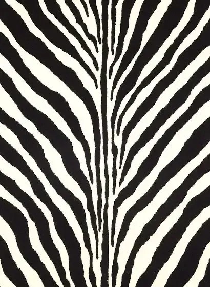 Ralph Lauren Carta da parati Bartlett Zebra - Charcoal