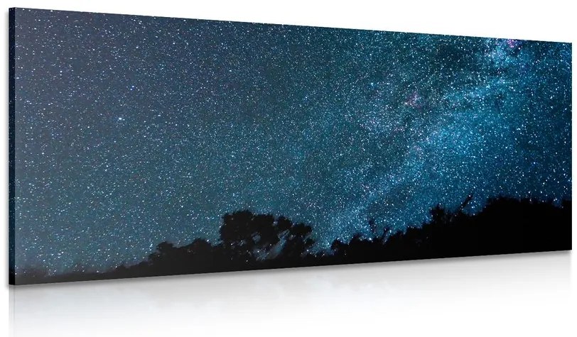 Quadro su tela – Via Lattea tra le stelle