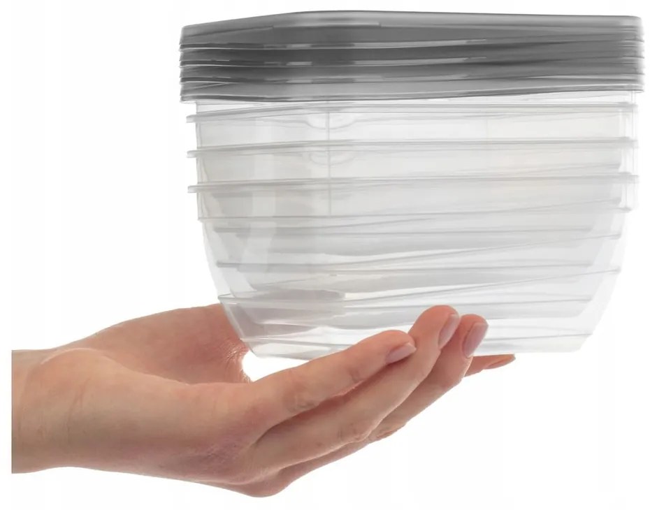 Scatole per alimenti 4 pz. Vedo - Curver