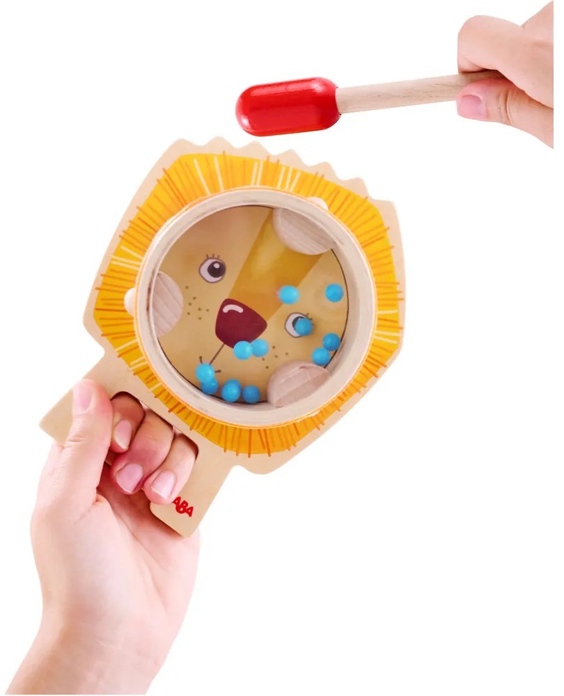 Set di strumenti musicali - Leone