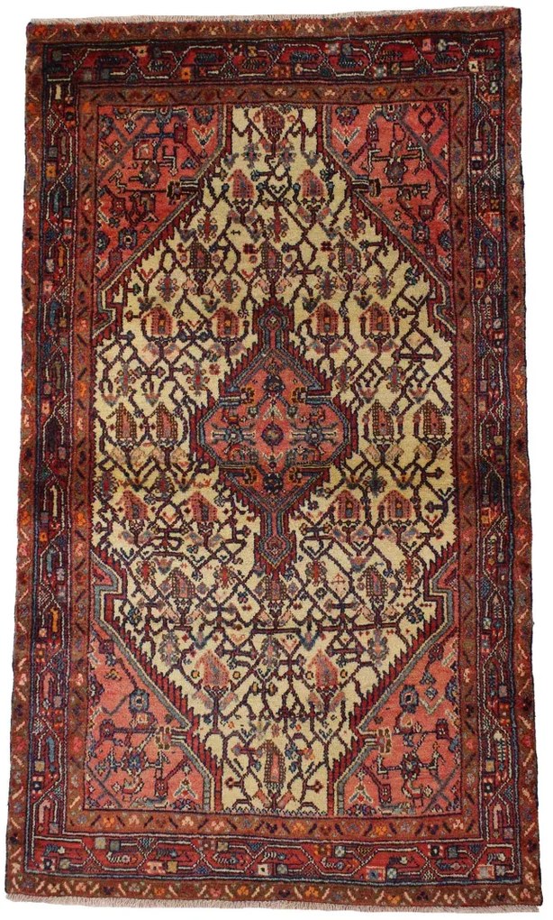 Hamedan Tappeto 110x190 (Iran)