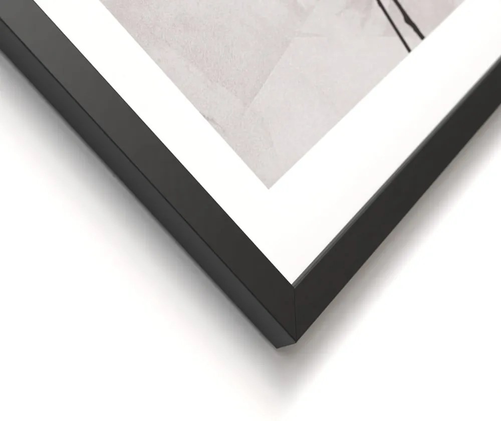 Set di dipinti 2 pz 30x40 cm Charm – Styler