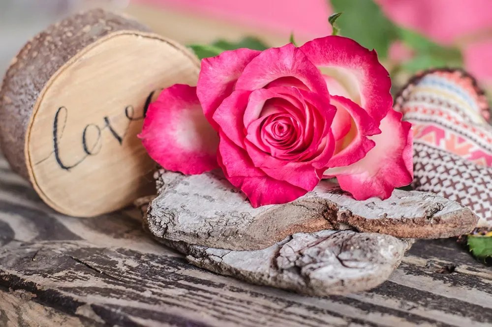 Carta da parati – Rosa d'amore