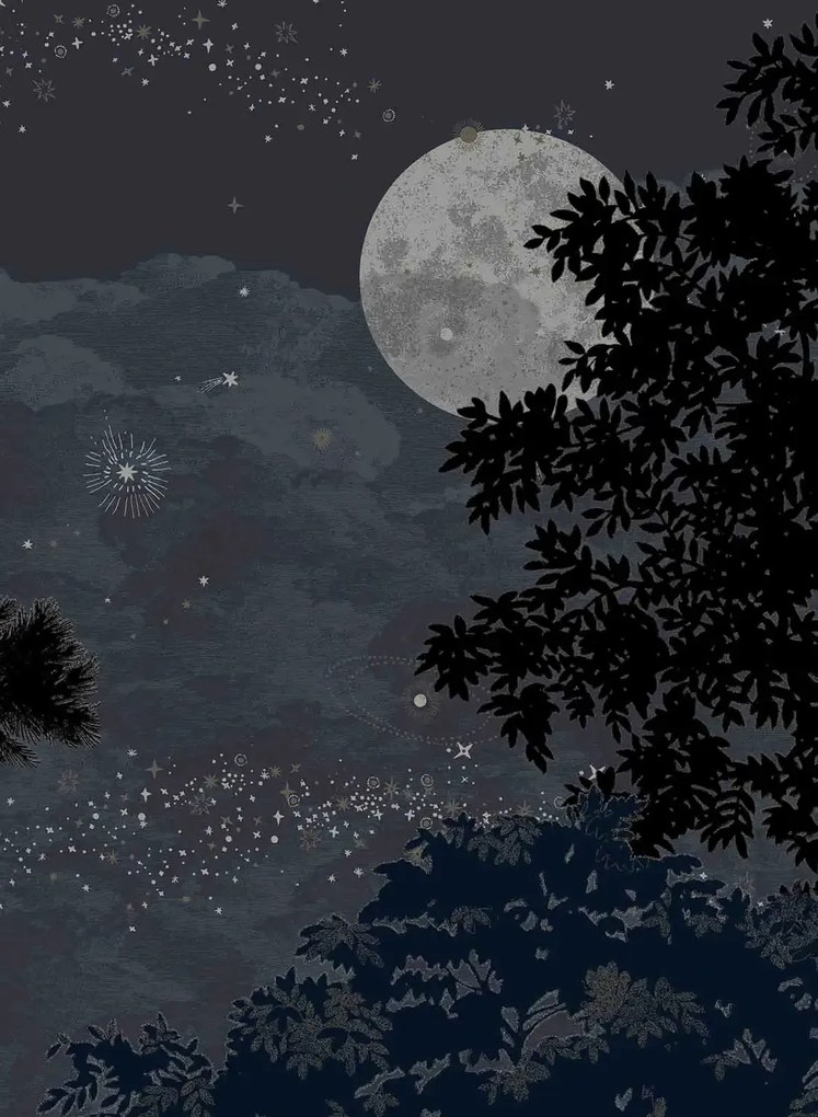 Isidore Leroy Carta da parati panoramica Eclipse Nocturne - Panel B