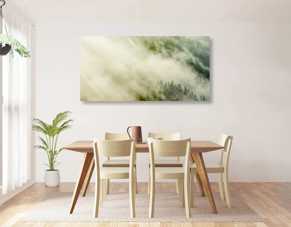 Quadro su tela – Foresta nebbiosa
