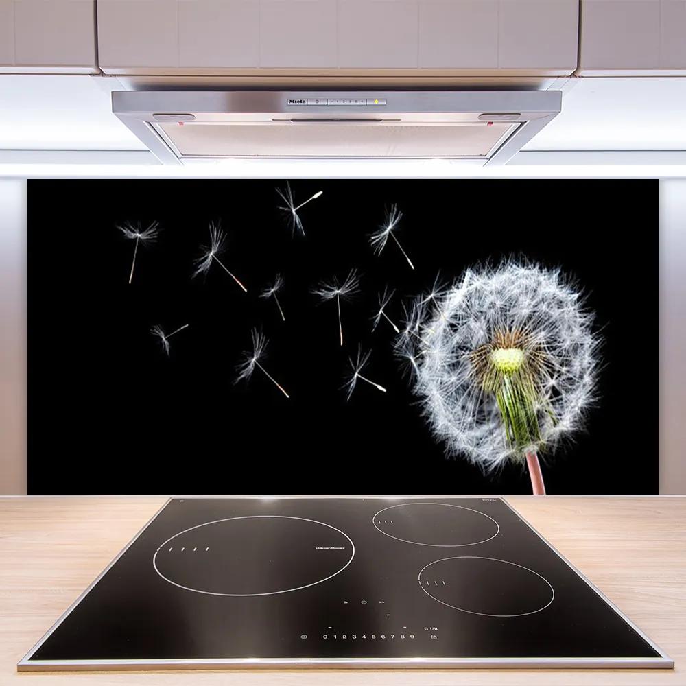 Rivestimento parete cucina Fiori di tarassaco Natura 100x50 cm
