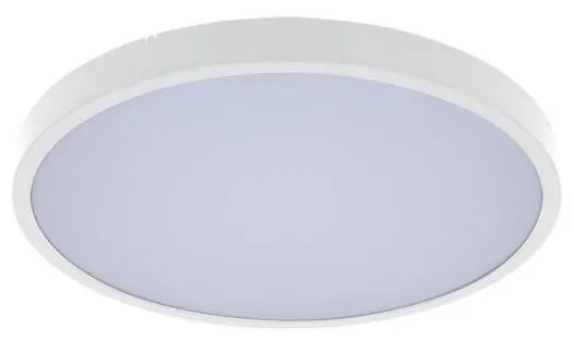 Rabalux 71429 - Plafoniera LED da bagno ALENZO LED/36W/230V IP44 bianco
