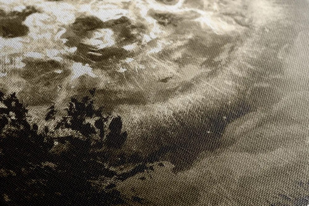 Stampa su tela – Luna luminosa nel cielo notturno in versione seppia
