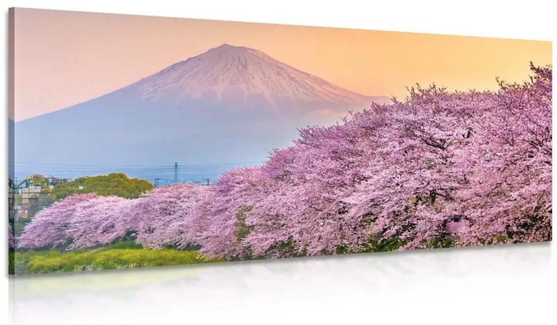 Quadro su tela – Meraviglioso Giappone