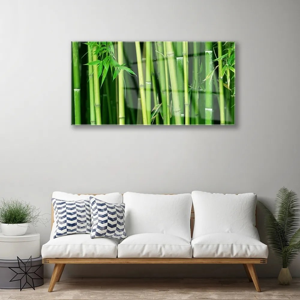 Quadro di vetro Foresta di bambù Natura bambù 100x50 cm