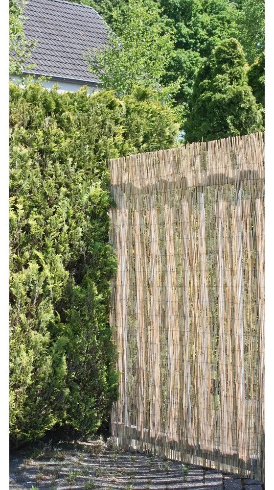 Tappetino frangivista in salice colore naturale 300x200 cm - Garden Pleasure