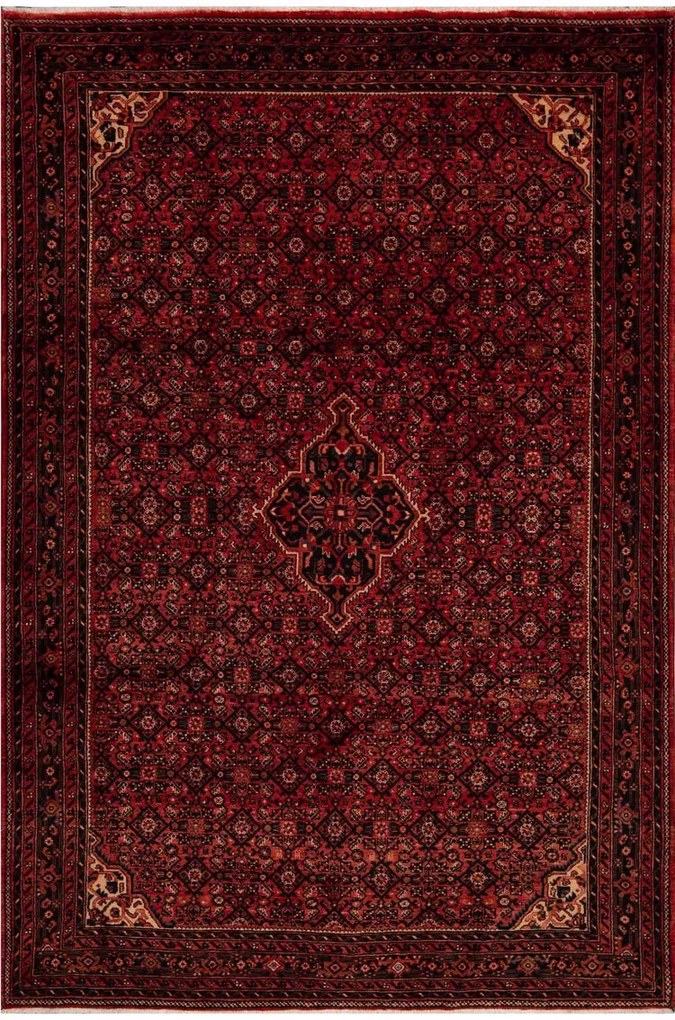 Hosseinabad Tappeto 220x320 (Iran)