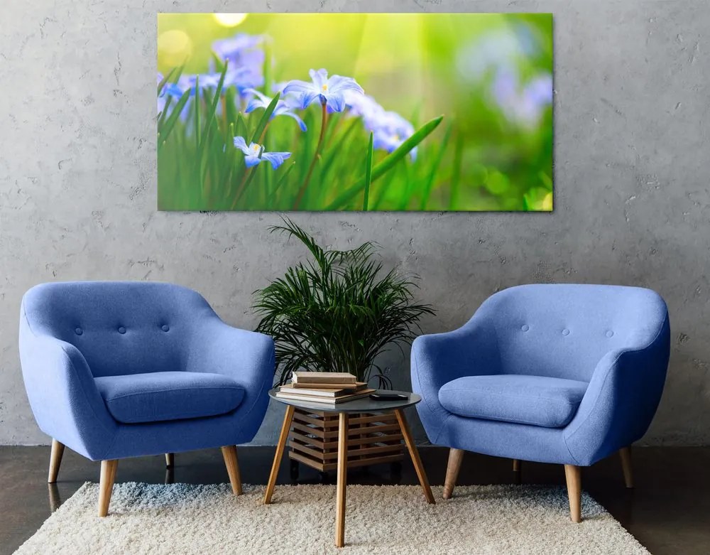 Quadro su tela – Fiori nel prato in primavera