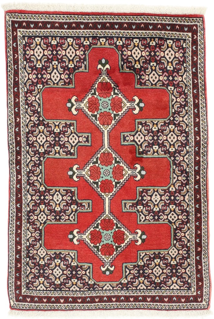 Sandjan Tappeto 80x110 (Iran) Annodato A Mano