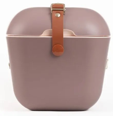 Borsa frigo marrone 20 l Classic Gold – Polarbox
