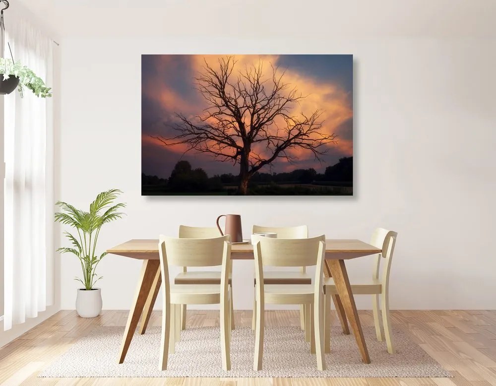 Stampa su tela – Splendido albero sul prato
