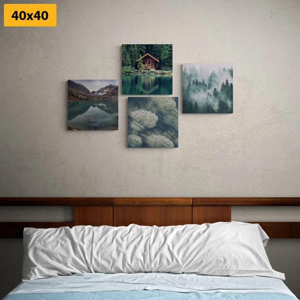 Set di quadri – Natura incantevole